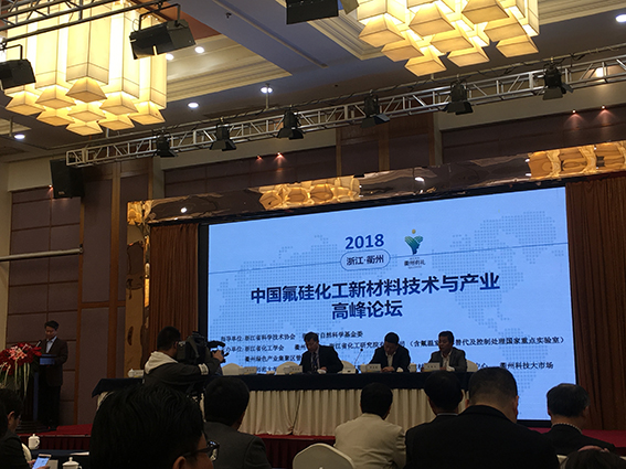 浙化院参与主办2018中国氟硅化工新材料技术与产业高峰论坛