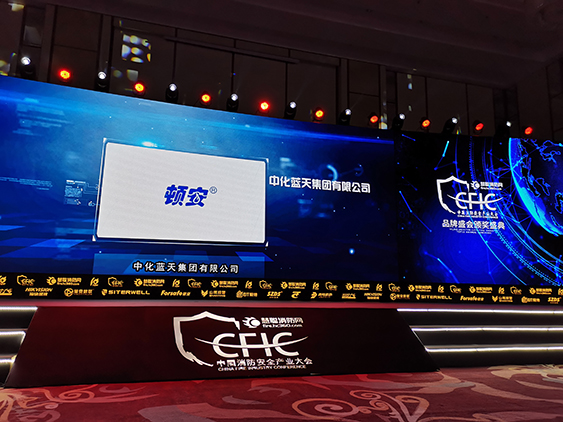 中化蓝天荣获CFIC2019“十大民族企业”称号