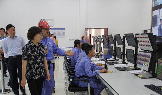 湖南省常务副省长谢建辉调研中化蓝天郴州基地